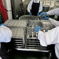 ④出来上がったものをカップに流し入れている様子
