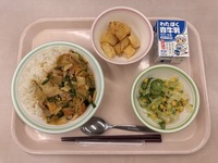 2026.5.13の給食