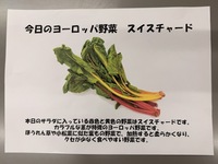 スイスチャード