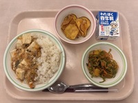 2026.6.24の給食