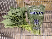 モロヘイヤの写真